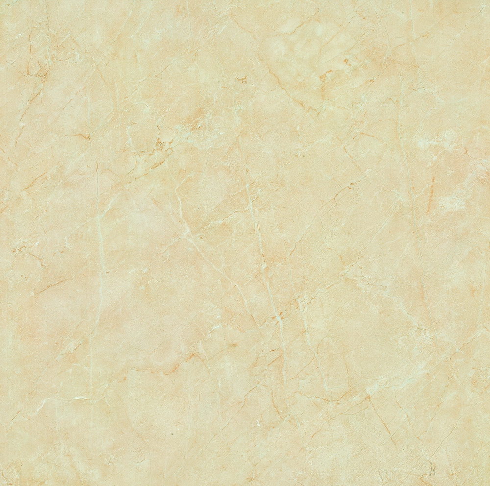 ɯ׻HPG80004800X800mm