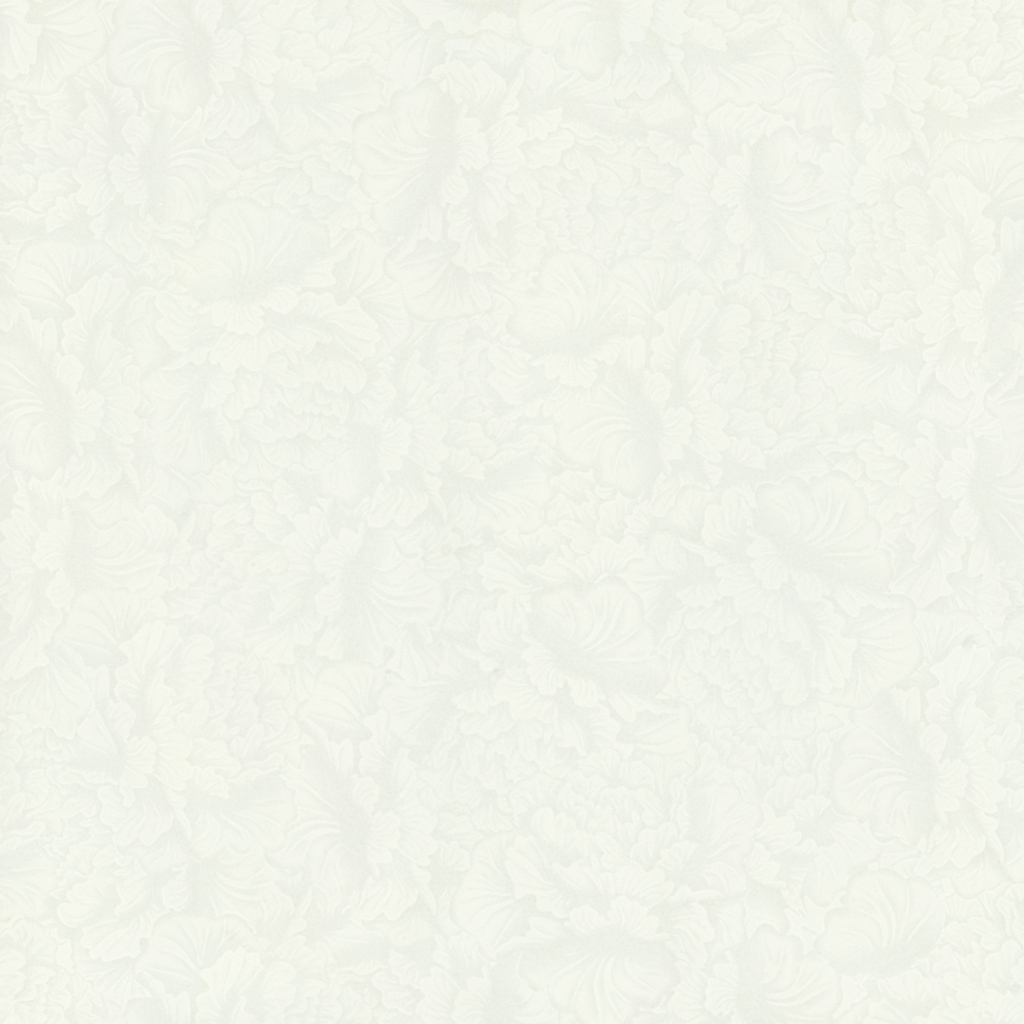 HPVB28008HPVB26008
