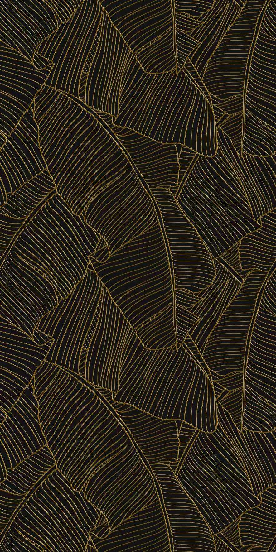 H26001ATP2 ֲ  600x1200ƣ