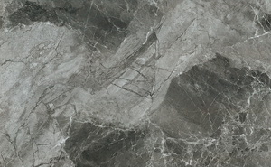 HPEG1890054Ľ˹
