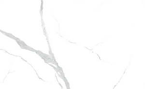 9-HPG2412A019ӳʯ