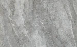 HPG26165