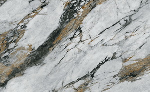 6-HPG2790A011