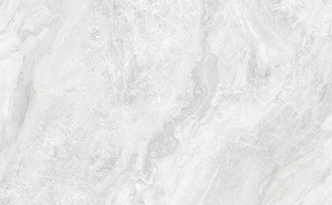 HPGM26020