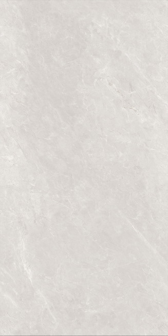 HYG1890010׻