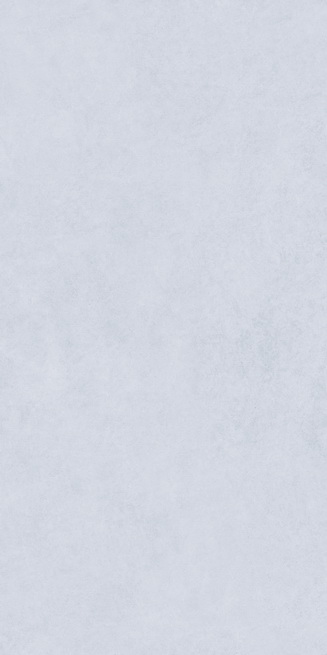 ˹ǳHJ1890013