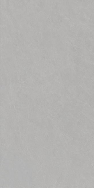 ˹HPJ1890010