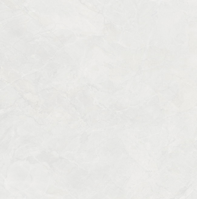 ŵ˹HPG80281