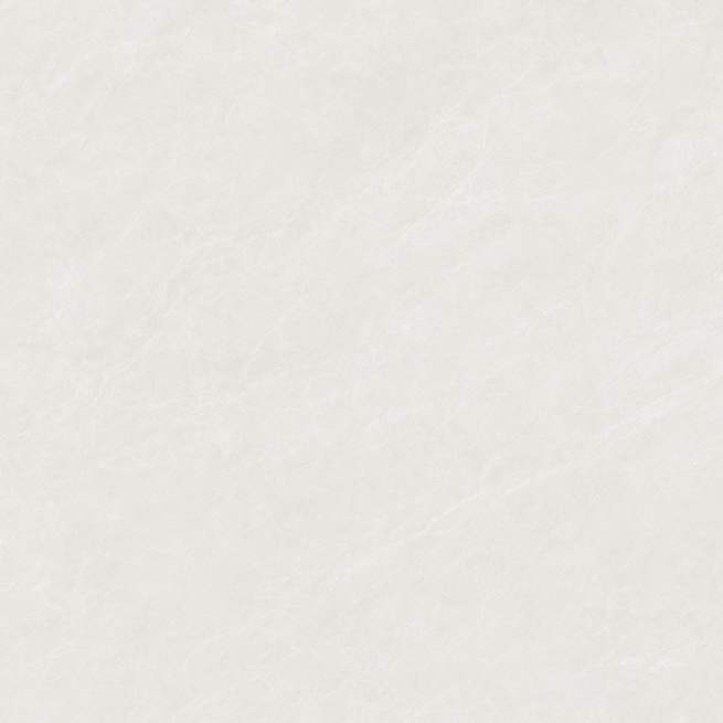 ׻HPG80294